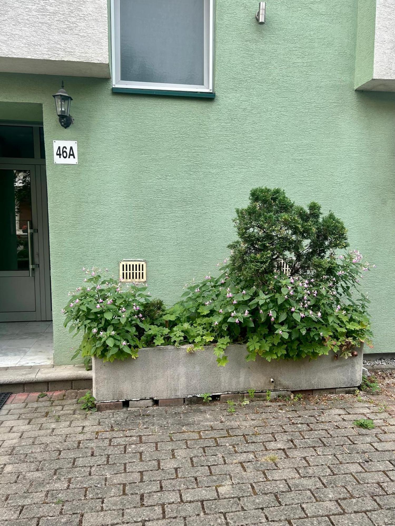 Mario Apartment Ohrid Exterior photo